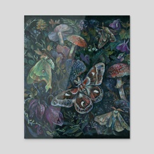 Atlas Moth Mushroom Garden - Acrylic by Clara  McAllister 
