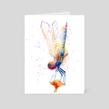 The dragonfly - Card pack by Olga Shefranov (PaintisPassion)