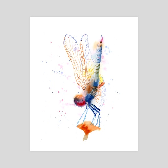 The dragonfly by Olga Shefranov (PaintisPassion)
