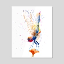 The dragonfly - Acrylic by Olga Shefranov (PaintisPassion)