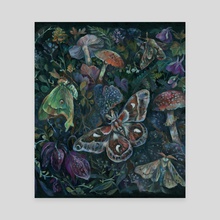 Atlas Moth Mushroom Garden - Canvas by Clara  McAllister 